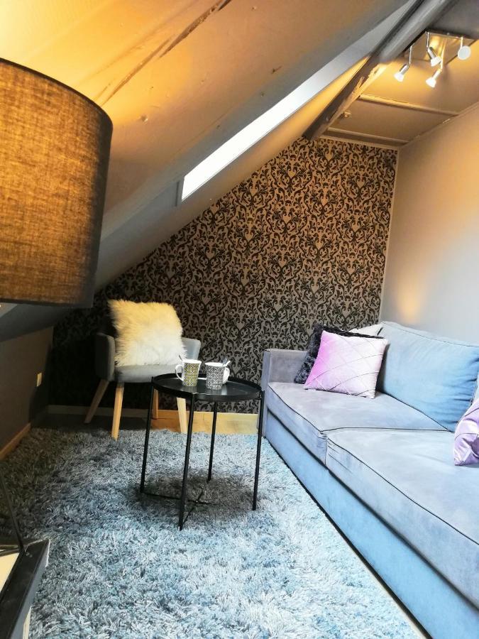 Escale - CROISEE DES PARCS - Cosy, central et confortable - Business Niederbronn-les-Bains Extérieur photo